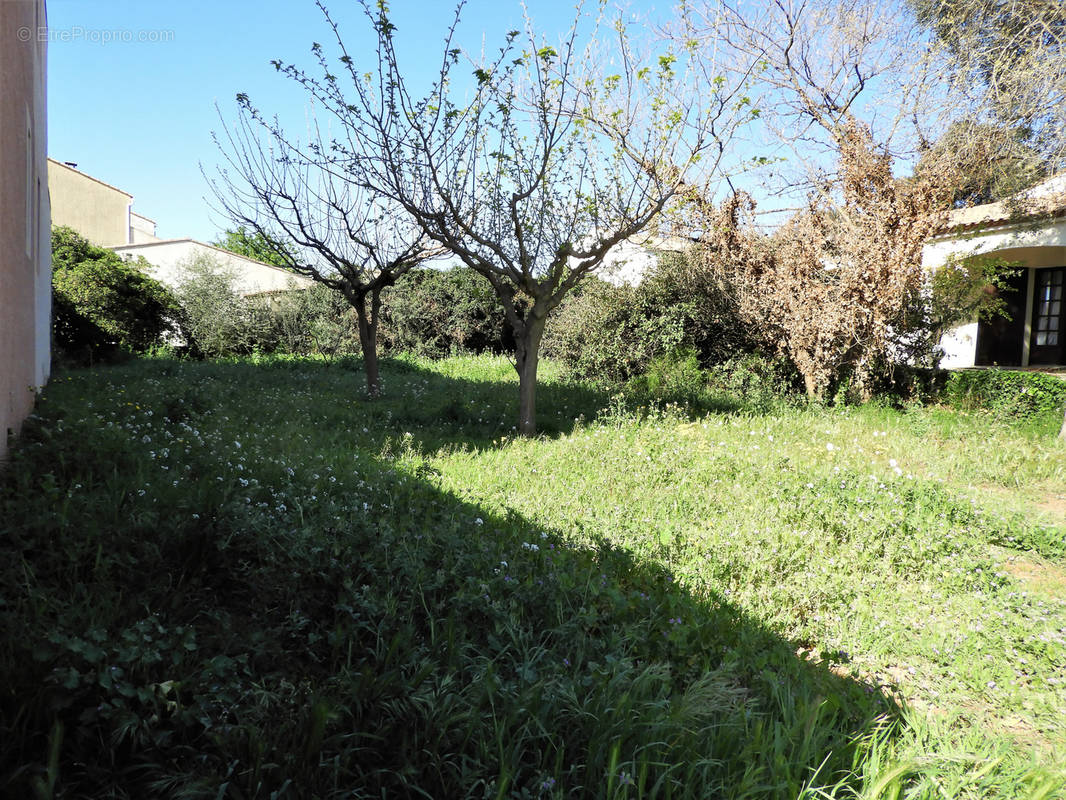 Terrain à FRONTIGNAN