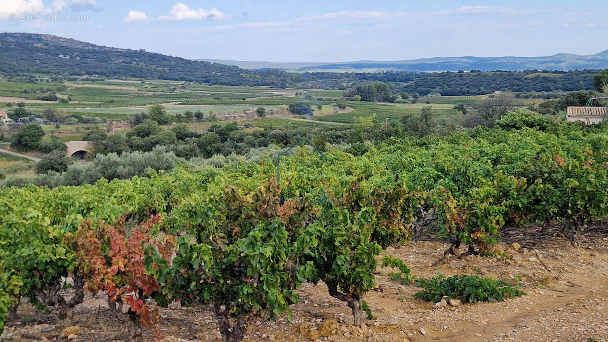 Terrain à MONTPEYROUX