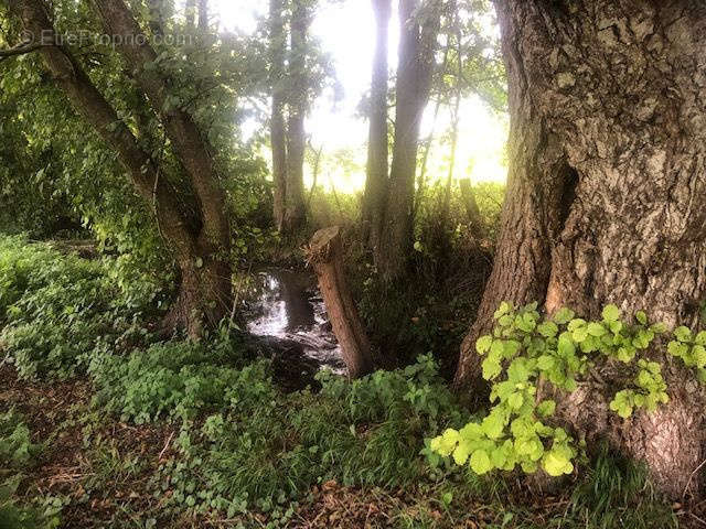 Terrain à FONTAINE-EN-BRAY