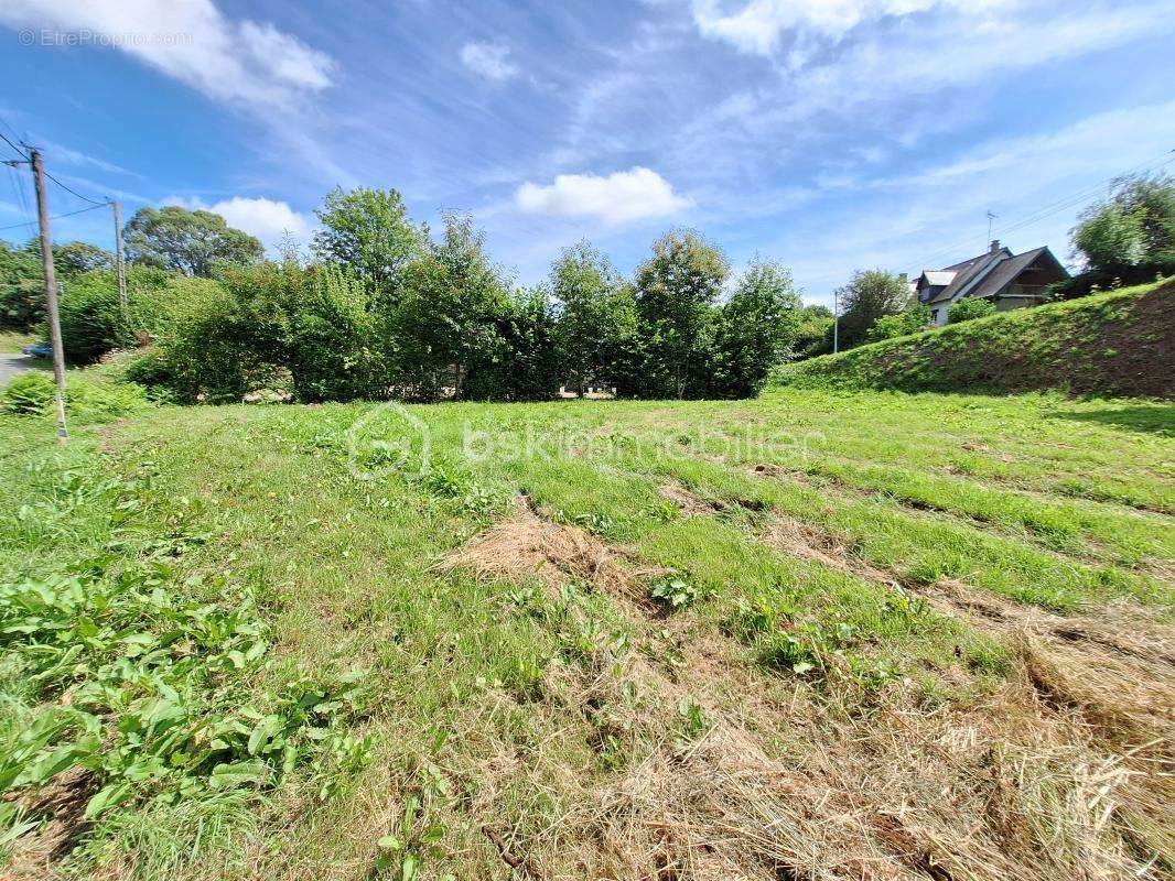 Terrain à MAYENNE