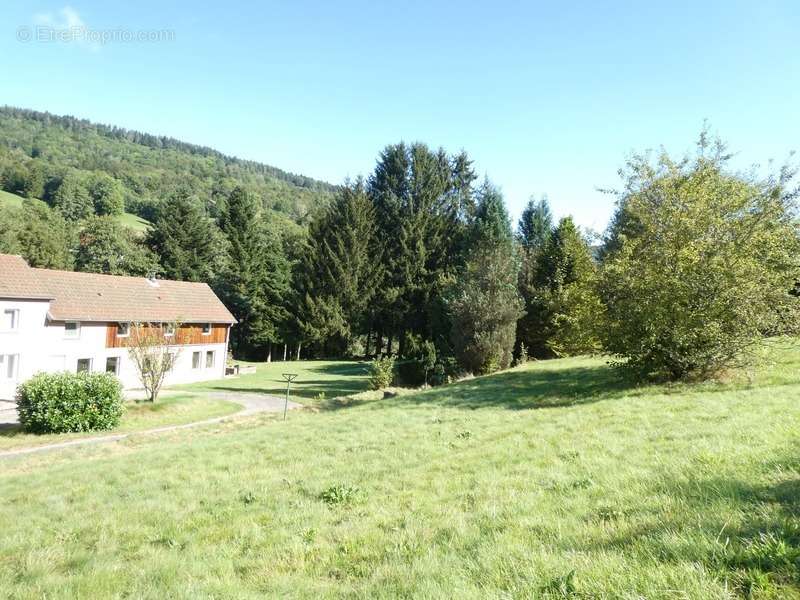 Maison à FRESSE-SUR-MOSELLE