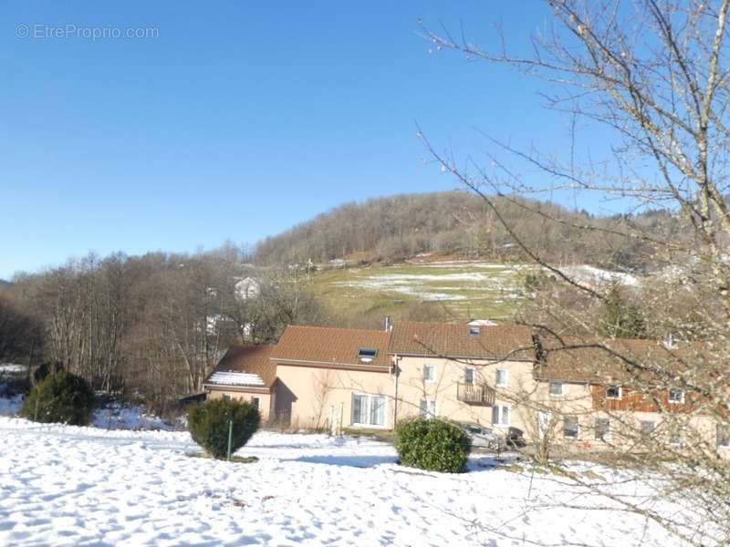 Maison à FRESSE-SUR-MOSELLE