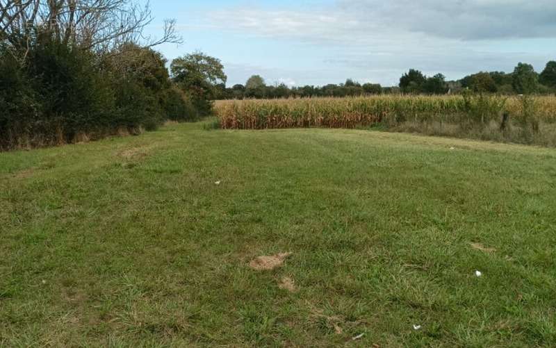 Terrain à SAINT-OUEN-DE-MIMBRE