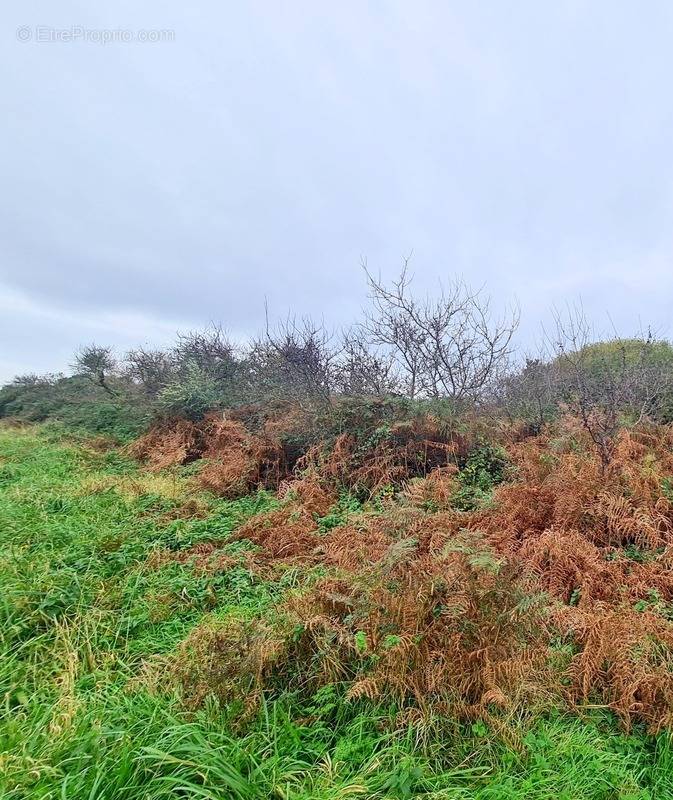 Terrain à CROZON