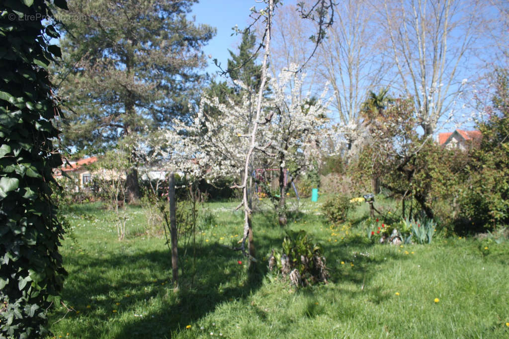 Maison à SAINTE-LIVRADE-SUR-LOT