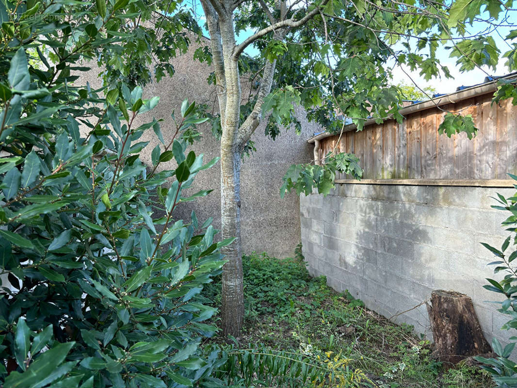 Maison à SAINT-CLEMENT-DES-LEVEES