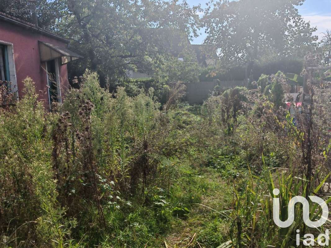 Photo 3 - Maison à CHAMPIGNY-SUR-MARNE