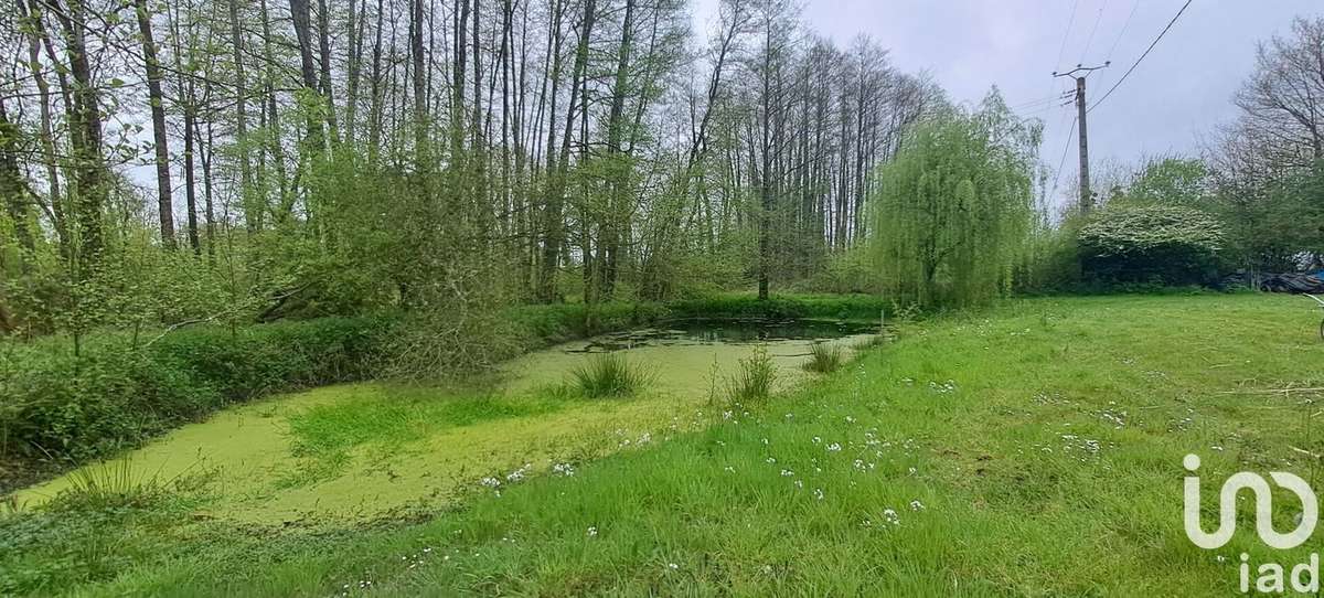 Photo 3 - Maison à BRETIGNOLLES