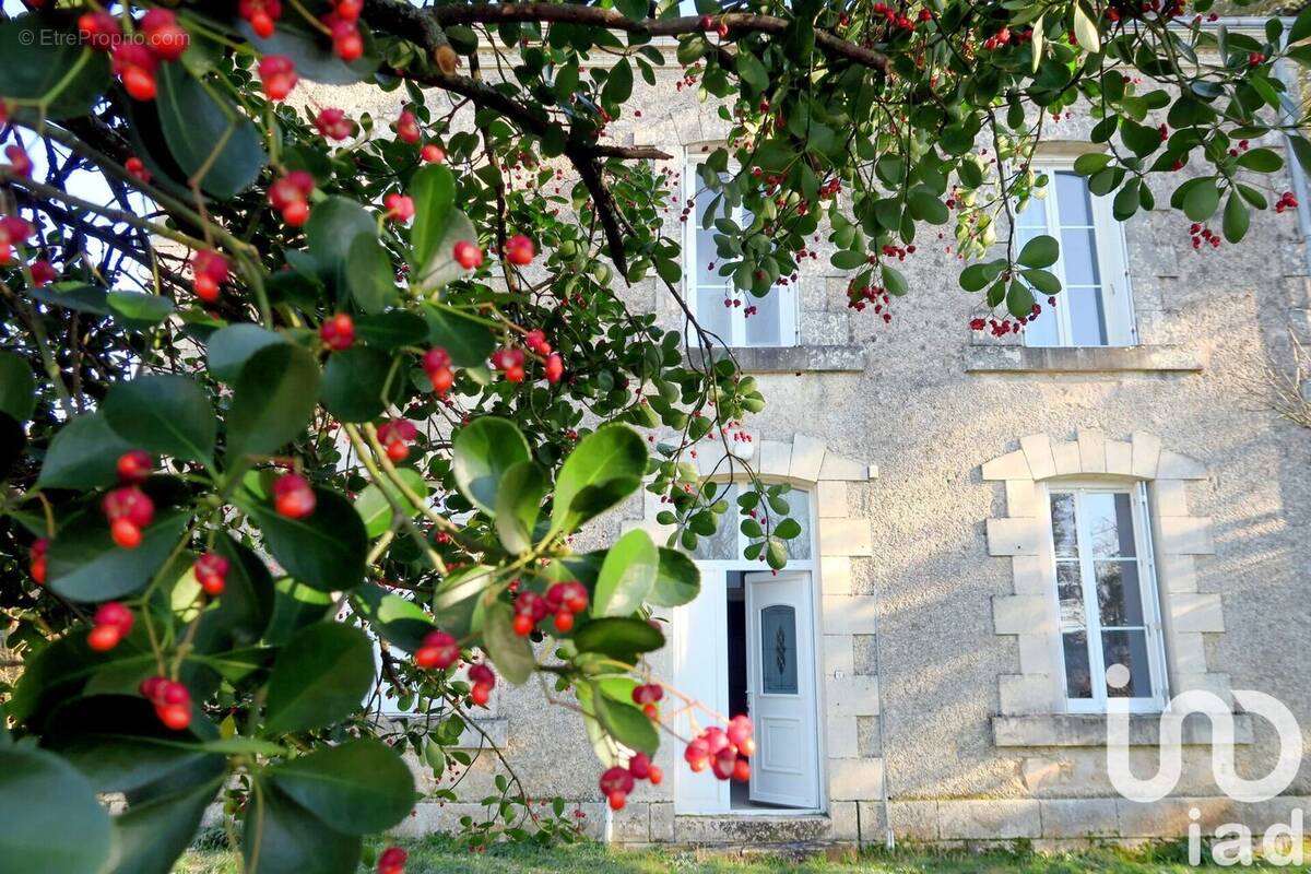 Photo 1 - Maison à ANGLES-SUR-L&#039;ANGLIN