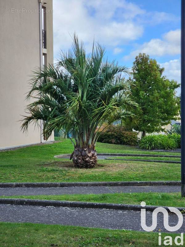 Photo 1 - Appartement à MINIHY-TREGUIER