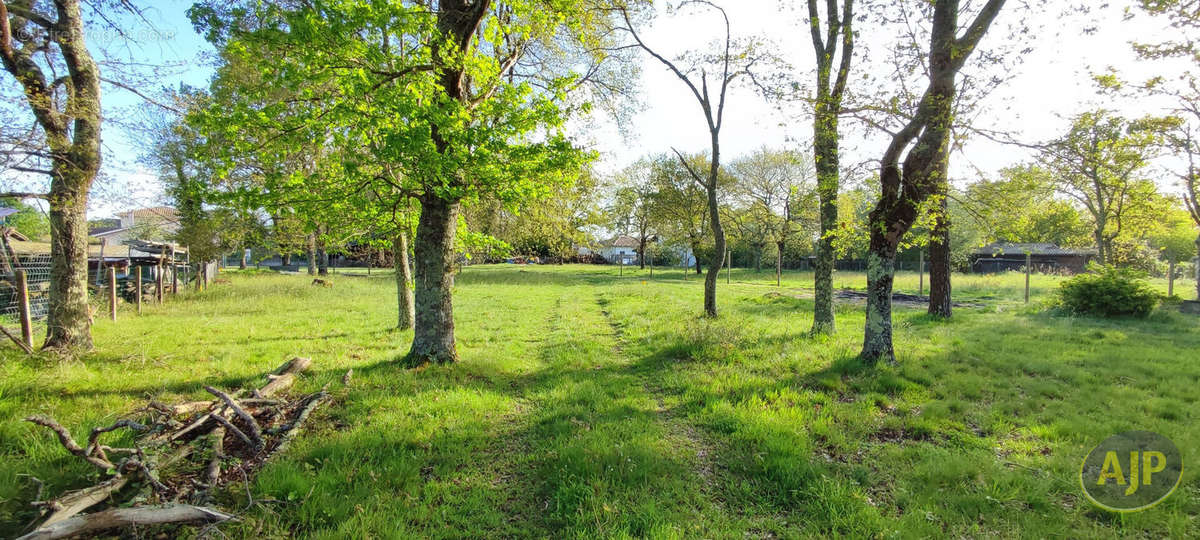 Terrain à LE TEICH