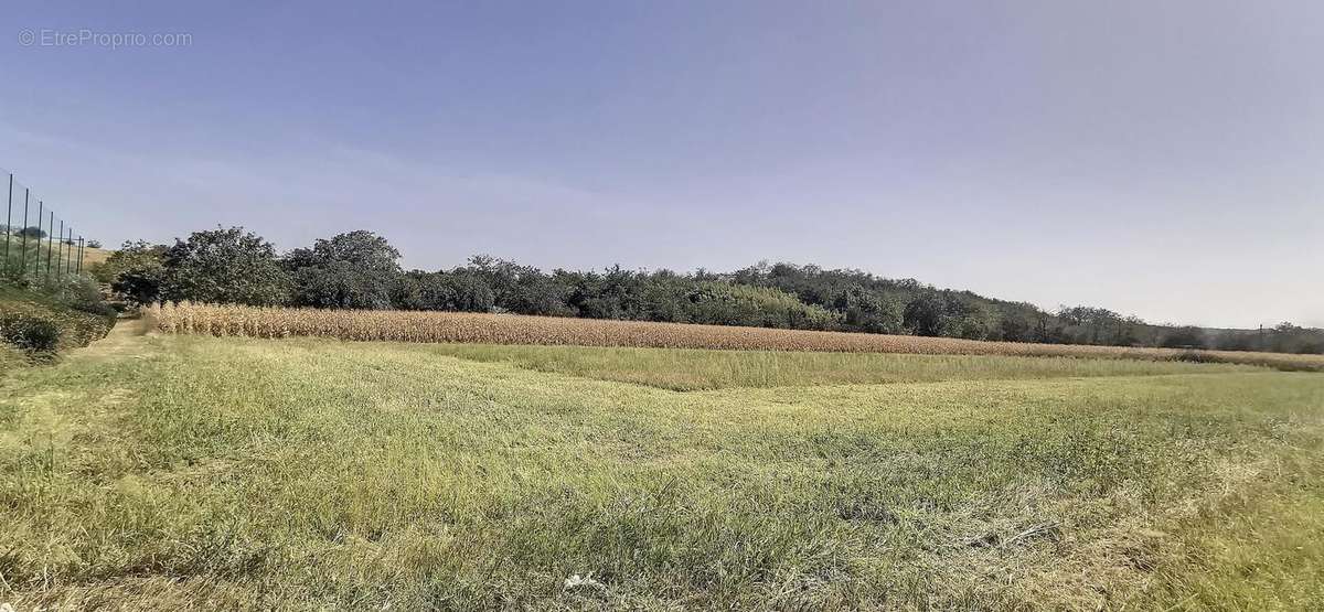 Terrain à CHAPONNAY