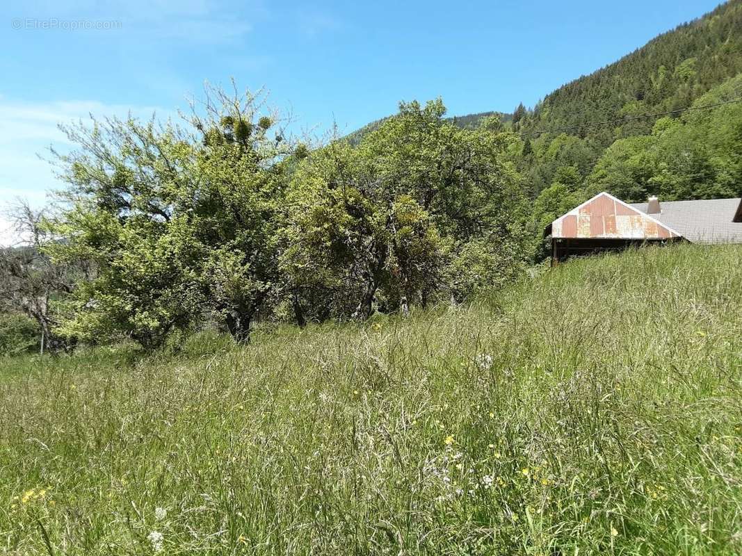 Terrain à VACHERESSE