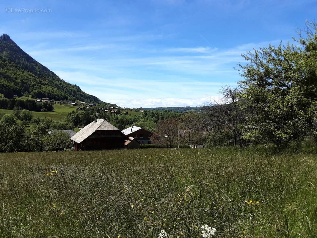 Terrain à VACHERESSE