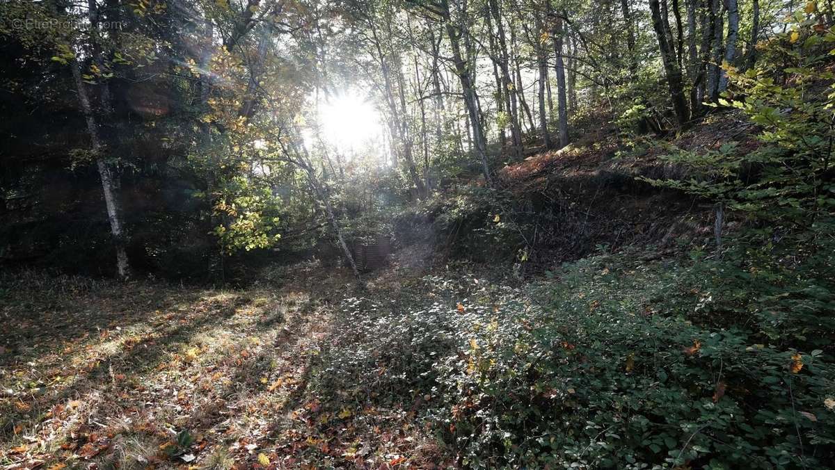 Terrain à CHATEAU-CHINON(CAMPAGNE)