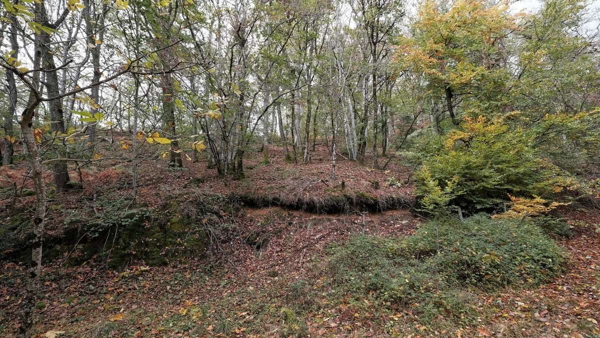 Terrain à CHATEAU-CHINON(CAMPAGNE)