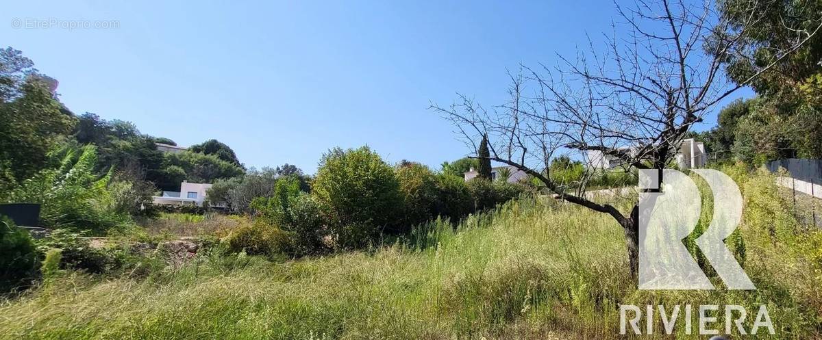 Terrain à VALLAURIS