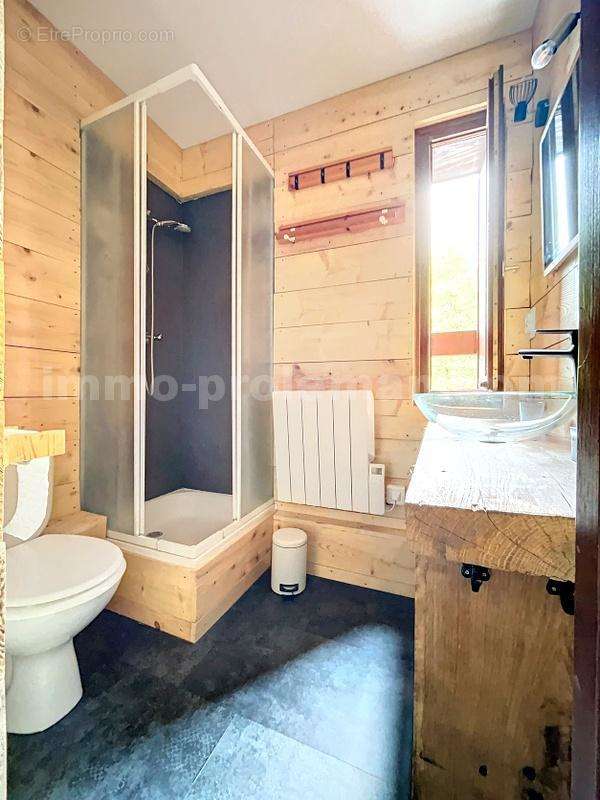 STUDIO_ARACHES_LA_FRASSE_PROCHE_GENEVE_MONTAGNE_PIED_DES_PISTES_SALLE_D_EAU__ - Appartement à ARACHES-LA-FRASSE