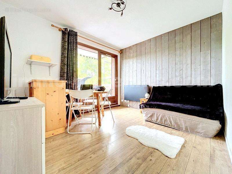 STUDIO_ARACHES_LA_FRASSE_PROCHE_GENEVE_MONTAGNE_PIED_DES_PISTES_SALON_SEJOUR_ - Appartement à ARACHES-LA-FRASSE