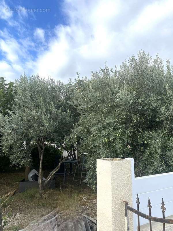 Maison à POUZOLS-MINERVOIS