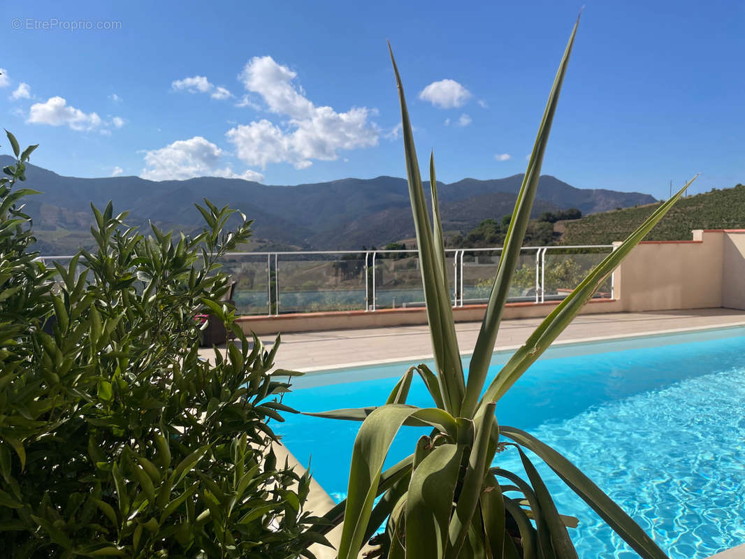 Maison à BANYULS-SUR-MER