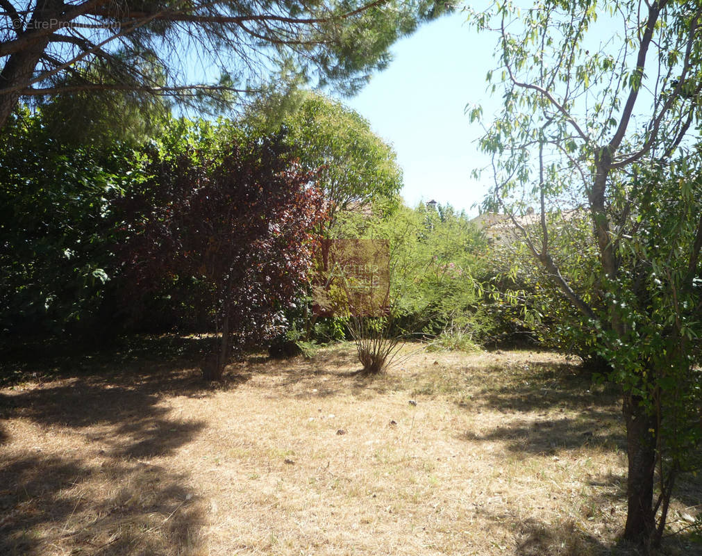 Terrain à MONTPELLIER