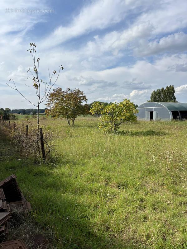 Terrain à SAINT-BENOIT-SUR-LOIRE