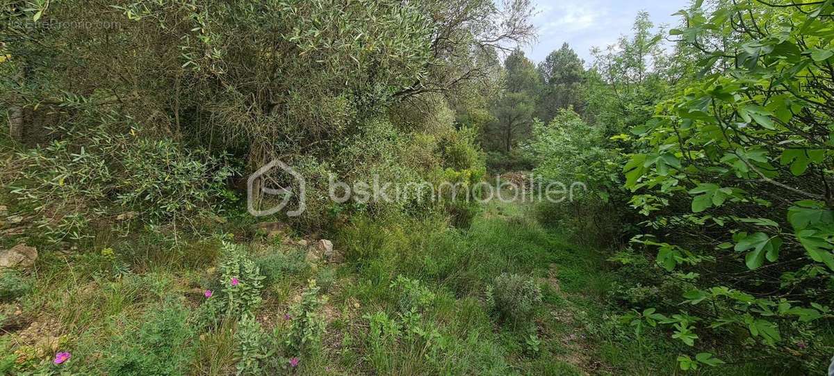 Terrain à VILLESEQUE-DES-CORBIERES