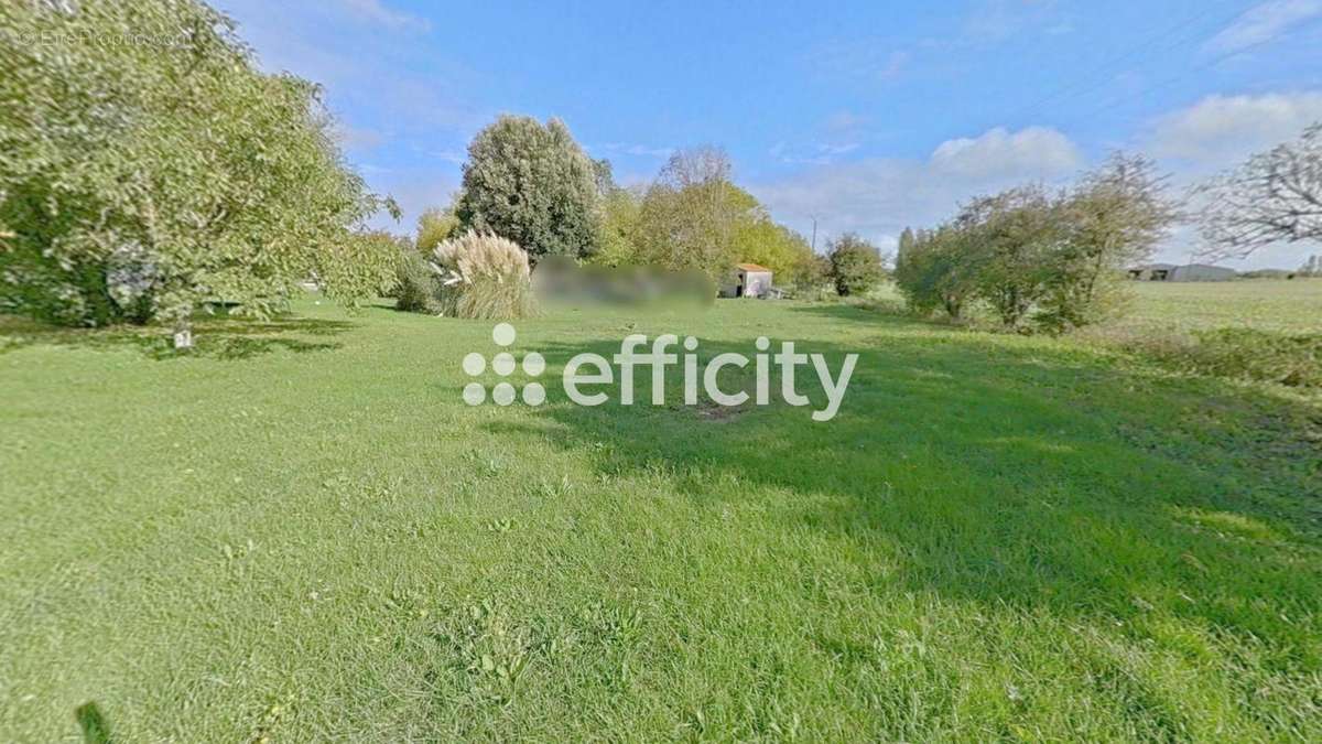 Terrain à LOIRE-LES-MARAIS