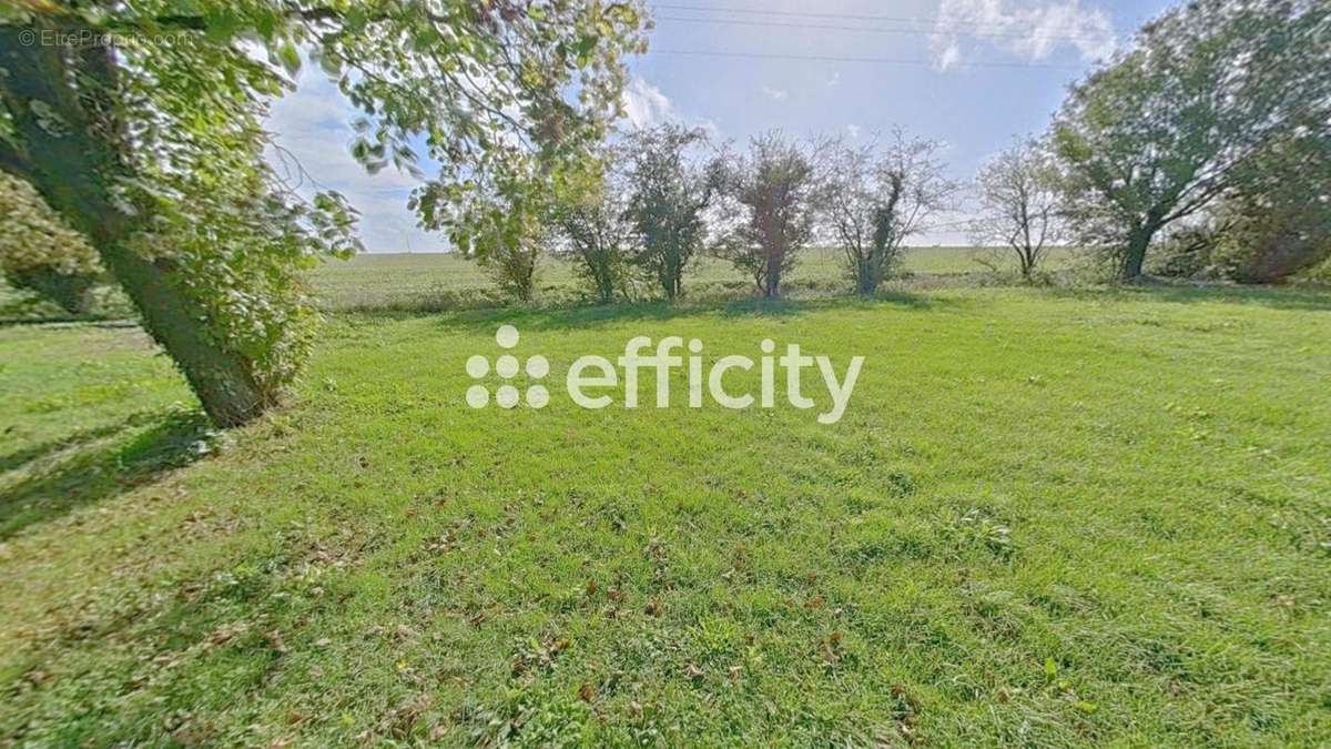 Terrain à LOIRE-LES-MARAIS