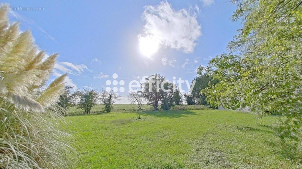 Terrain à LOIRE-LES-MARAIS