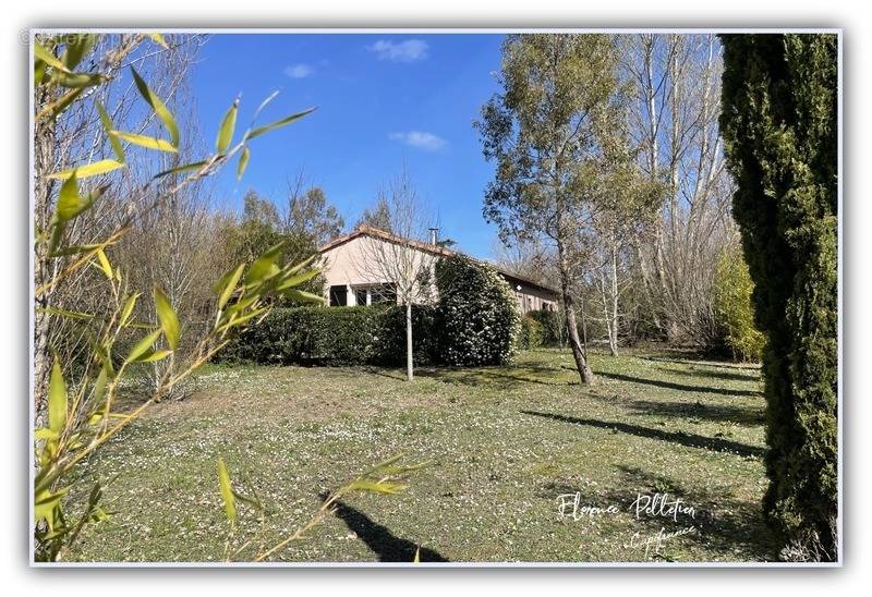 Maison à CUQ-TOULZA