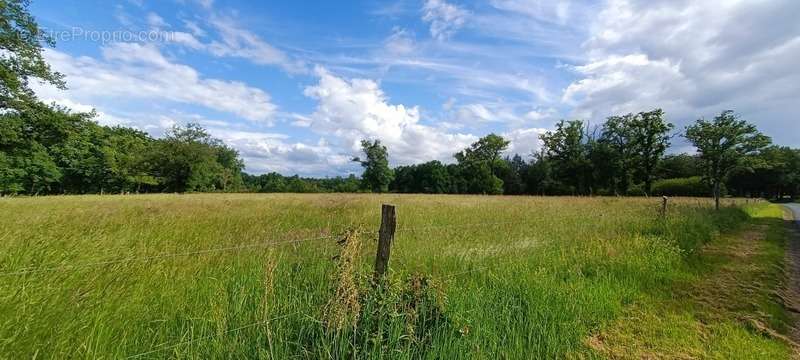 Terrain à LEZOUX