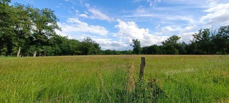 Terrain à LEZOUX