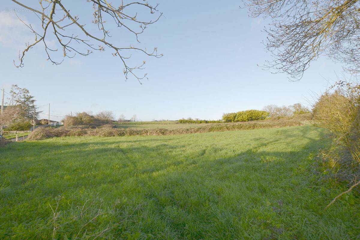 Terrain à LA BRETONNIERE-LA-CLAYE