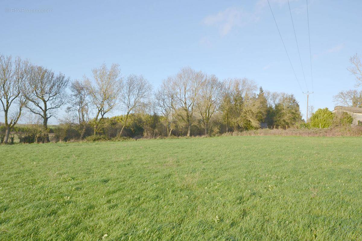 Terrain à LA BRETONNIERE-LA-CLAYE