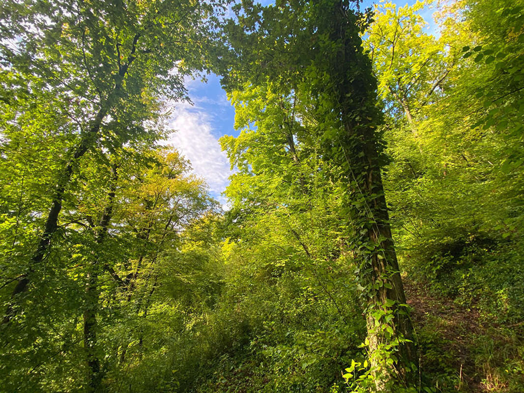 Terrain à GRAVIGNY