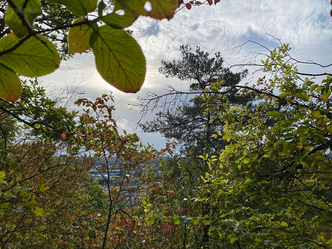 Terrain à GRAVIGNY