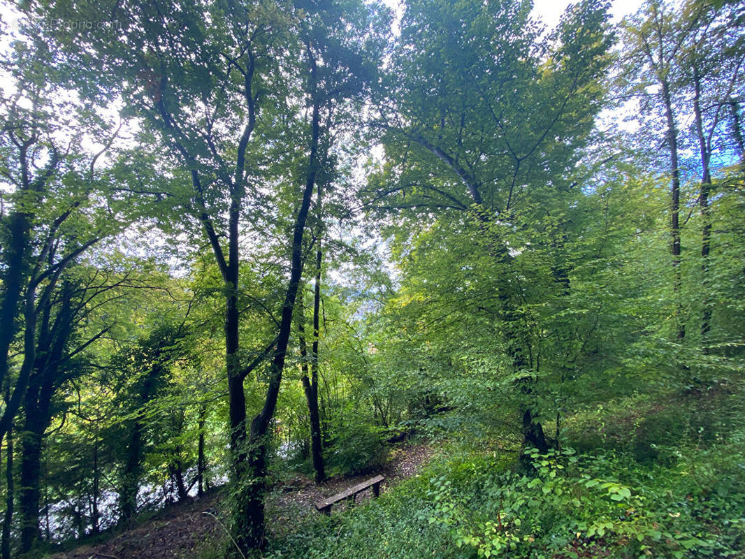 Terrain à GRAVIGNY