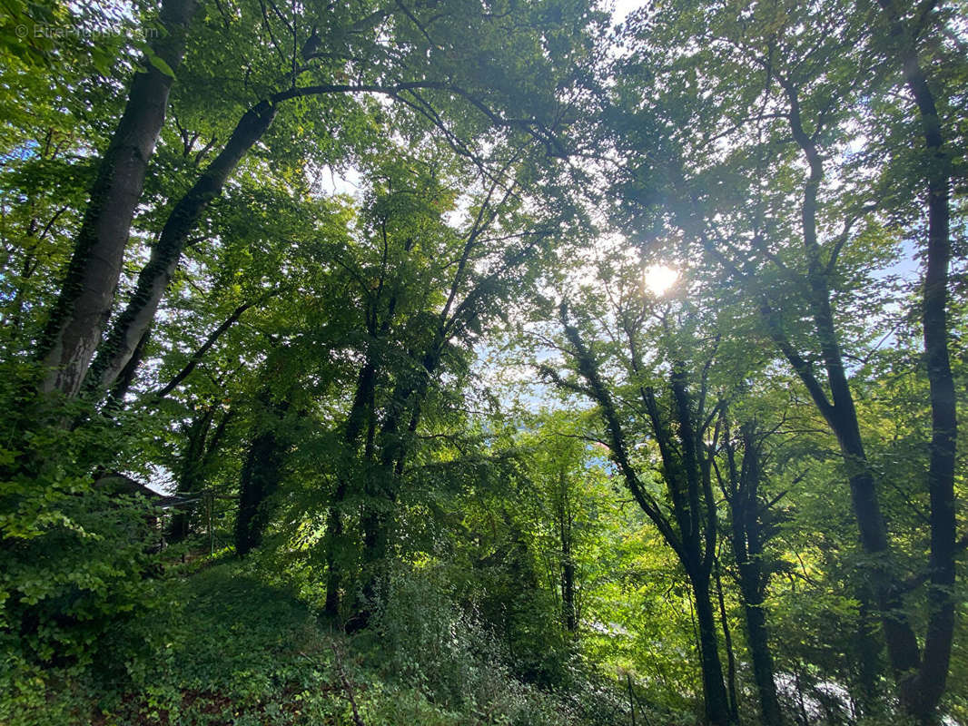 Terrain à GRAVIGNY