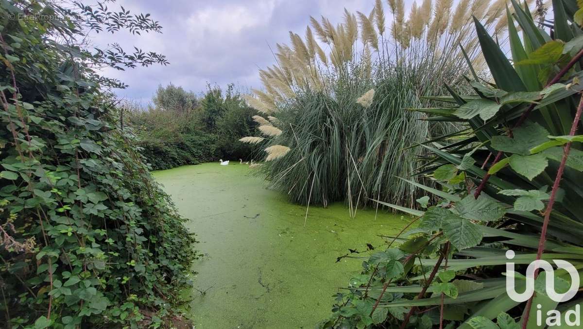 Photo 8 - Maison à SAINT-GEORGES-DE-POISIEUX