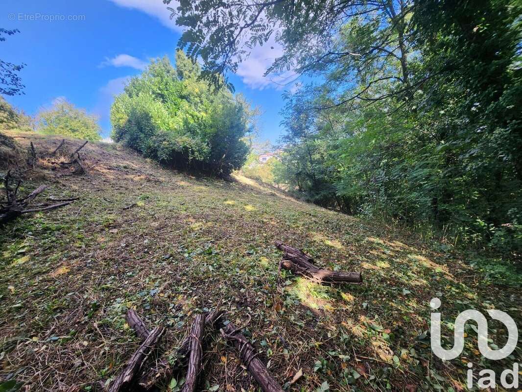 Photo 3 - Terrain à SAINT-LAGER-BRESSAC