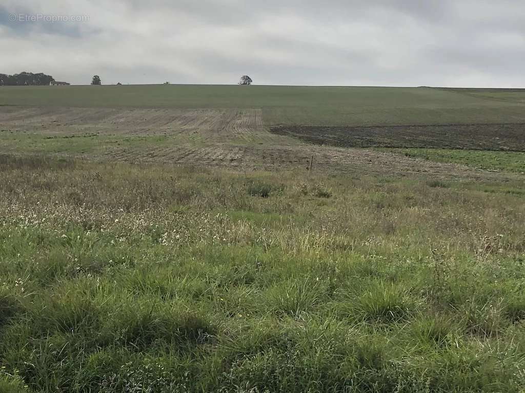 Terrain à CHOUPPES