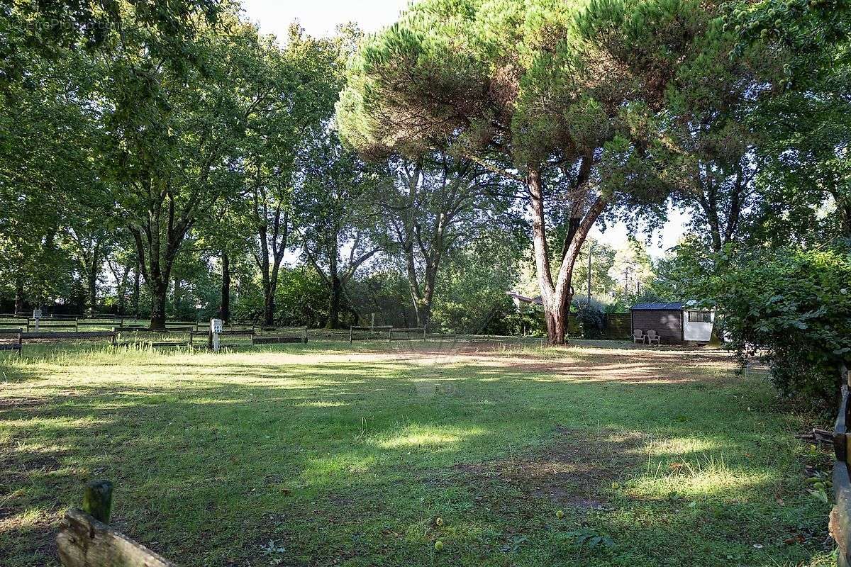 Terrain à MESCHERS-SUR-GIRONDE