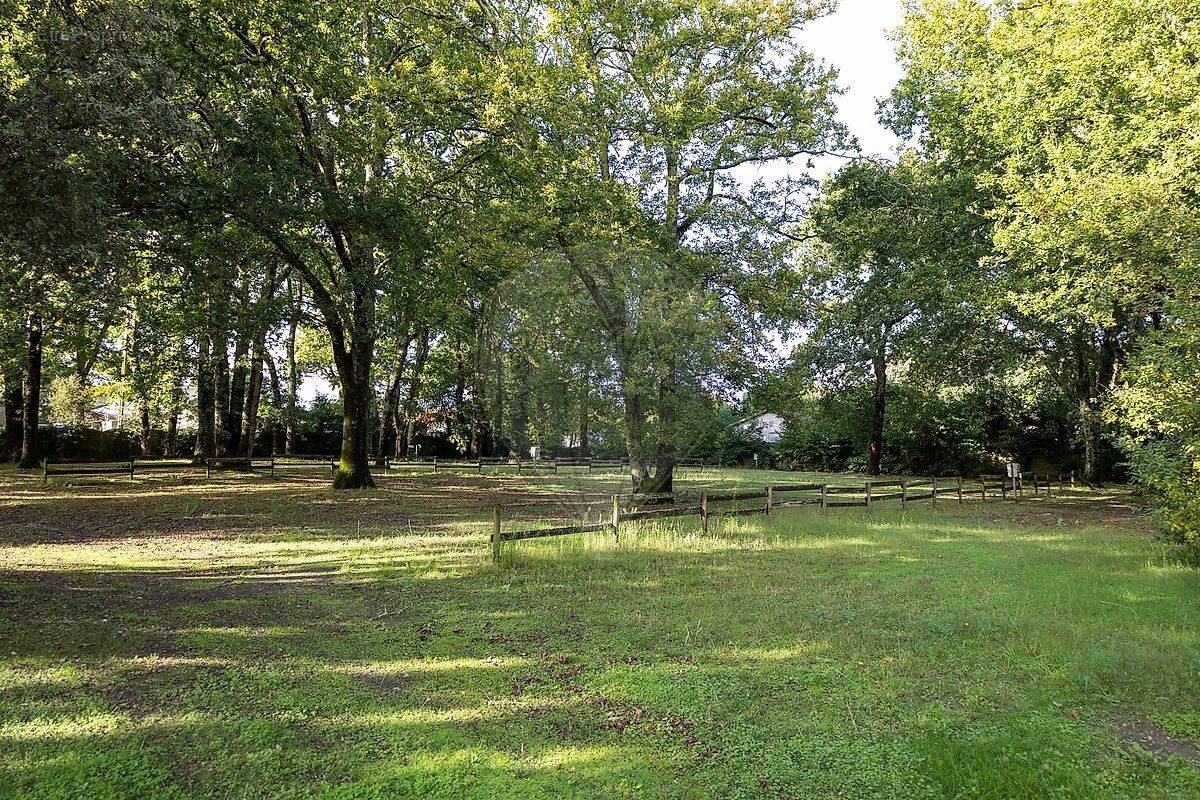 Terrain à MESCHERS-SUR-GIRONDE