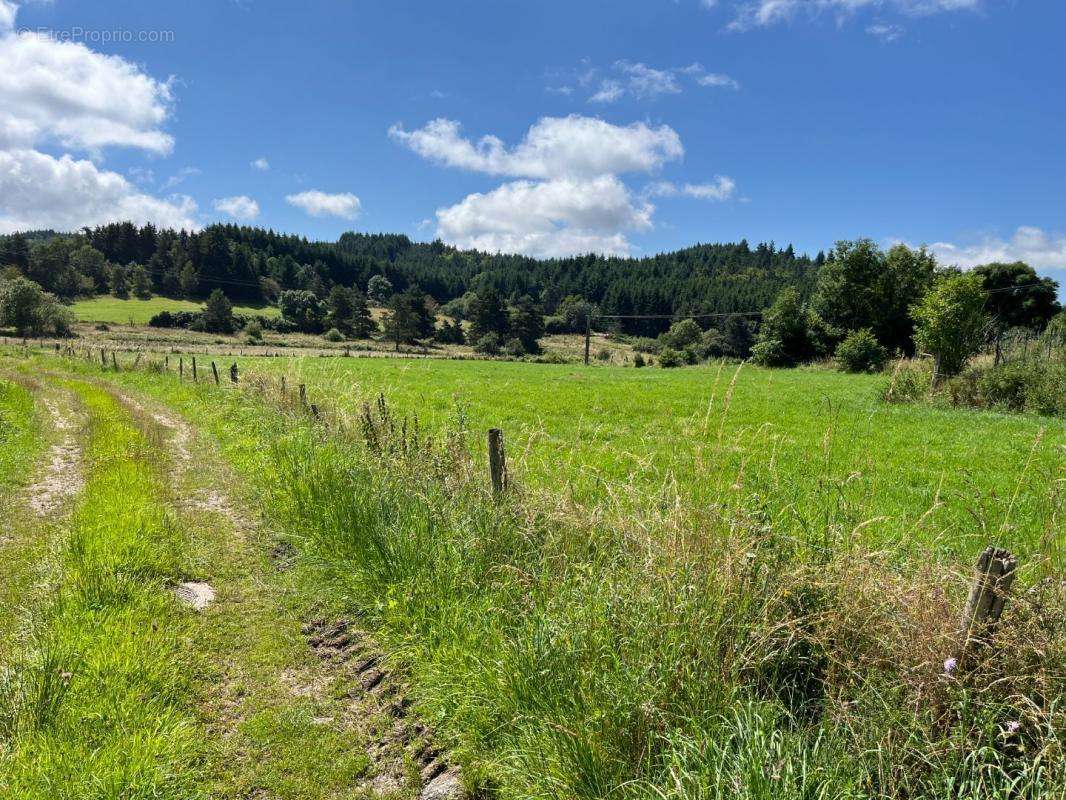 Terrain à MERLE-LEIGNEC