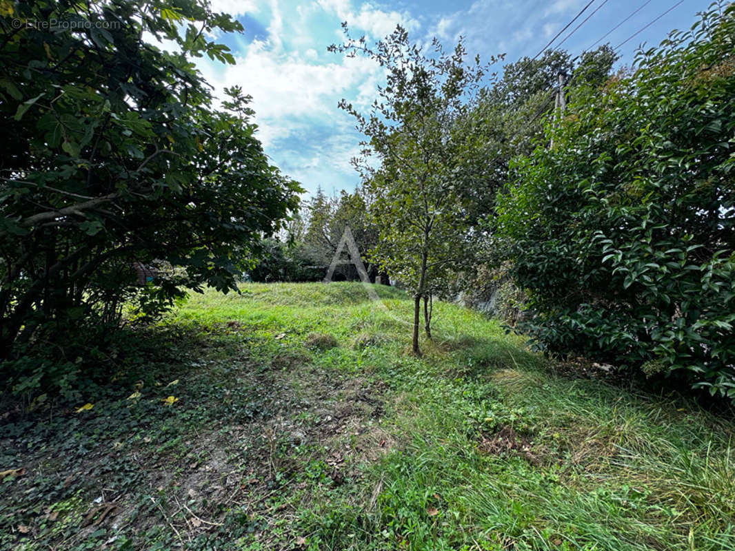 Terrain à MONTAUBAN