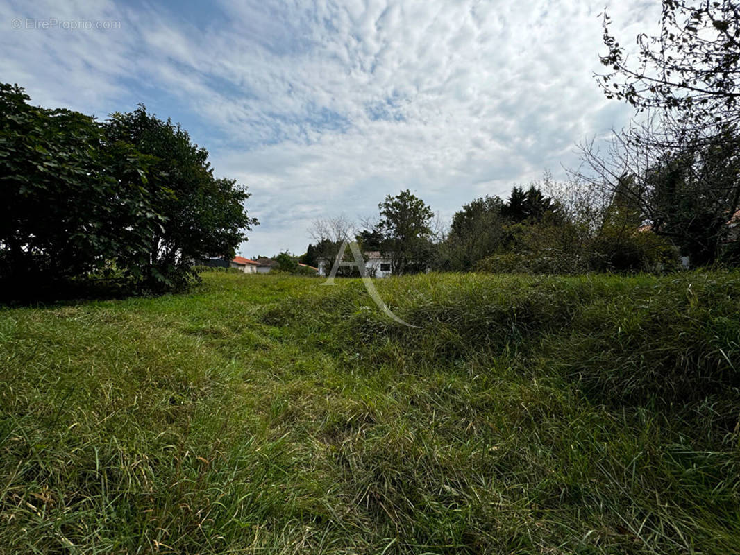 Terrain à MONTAUBAN