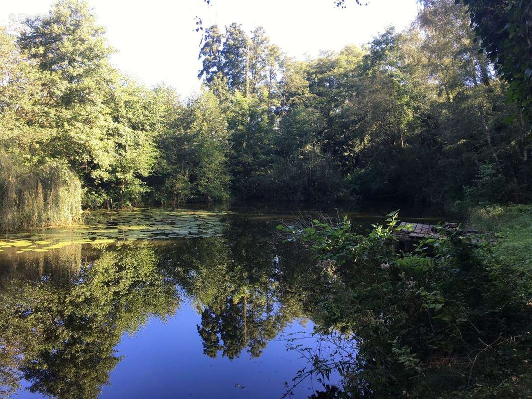 Terrain à MONTFORT-LE-GESNOIS