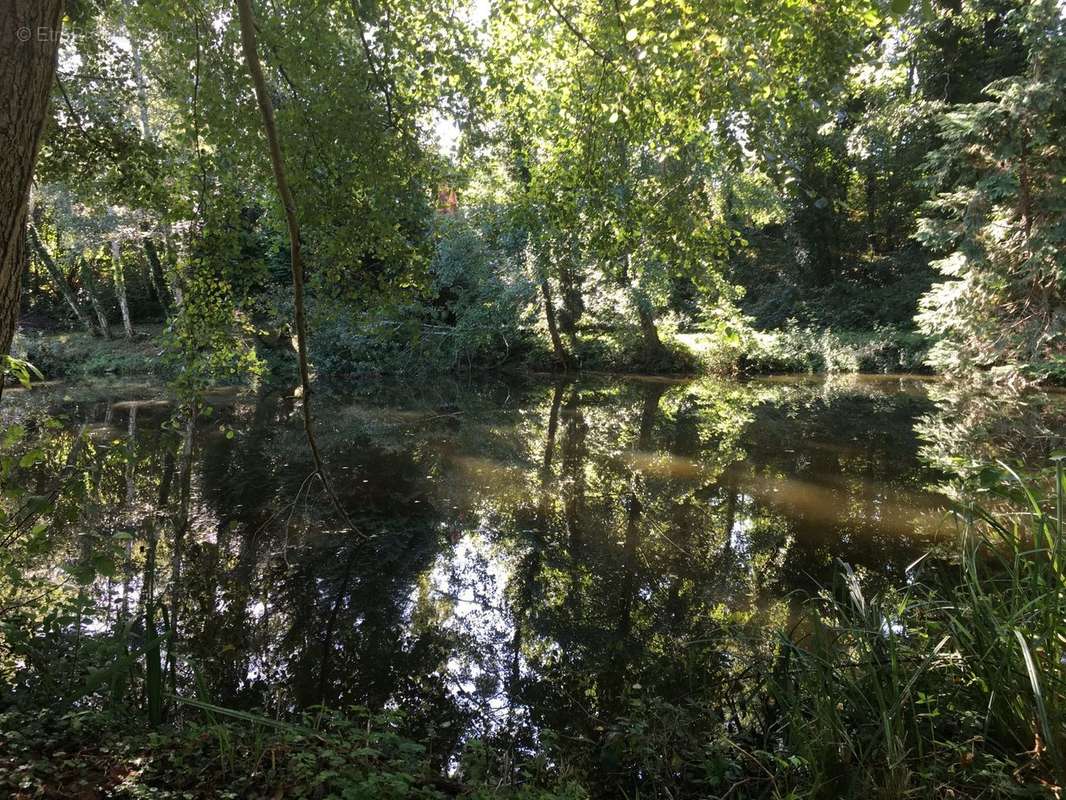 Terrain à MONTFORT-LE-GESNOIS